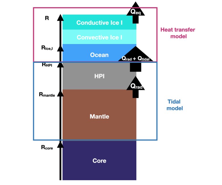 Interior–atmosphere coupling on TRAPPIST-1f, g, and h: cryovolcanic water exospheres and infrared detectability
