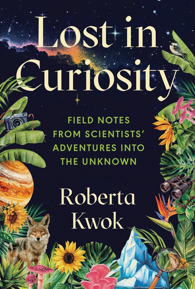 Lost in Curiosity — book cover
