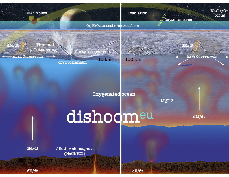 DISHOOM model schematic